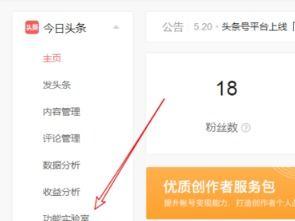 做头条小店如何申请,头条小店申请指南全解析