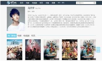 明星影网站,揭秘影视娱乐界的璀璨星河