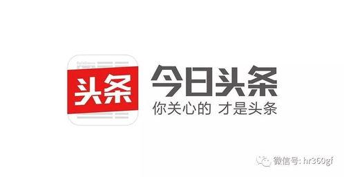 今日头条企业,引领新媒体潮流，打造智慧传播新生态