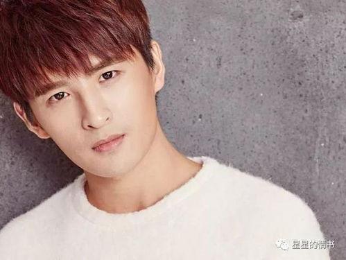 张远明星,星光璀璨的音乐追梦人