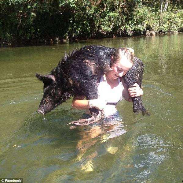 吃瓜美女大战野猪视频,吃瓜群众的现场直播