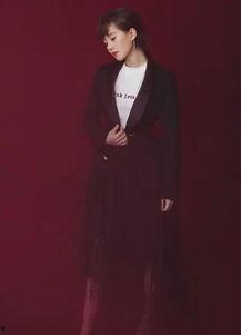 明星的教职,闪耀星光下的育人篇章