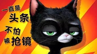 头条金狗有多大,究竟有多大？