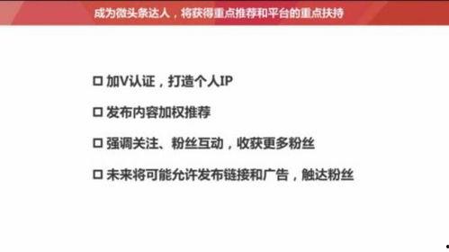 头条短文章影响推荐吗,揭秘如何精准推荐内容