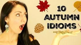 5根手指的网红语,指尖舞动——网红语中的生活哲学”