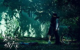 夏有乔木电影在线观看,青春爱情的浪漫演绎