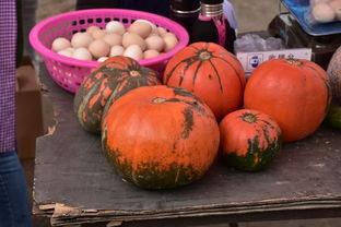 郑州吃谷瓜,探寻吃谷瓜的独特风味