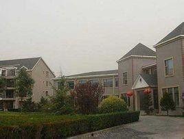 赢海庄园明星,明星汇聚的璀璨明珠