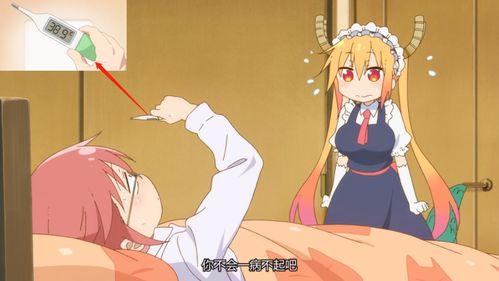 朝堂吃瓜小林大人