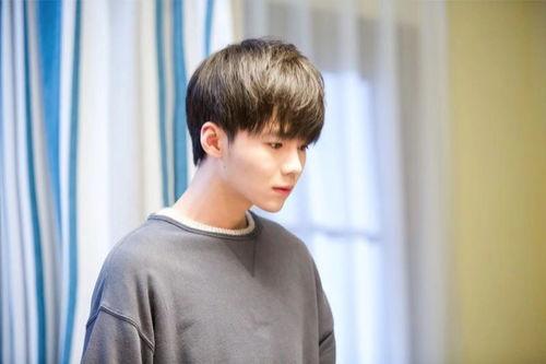 蔡乙嘉明星,星光璀璨的演艺之路