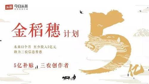 三农刚子今日头条,聚焦农村发展，传递最新三农资讯