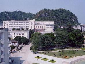 桂林理工大学爆料事件最新,揭秘校园内幕引发社会关注