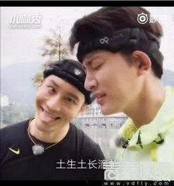 明星不适呕吐视频,揭秘明星健康与生活幕后