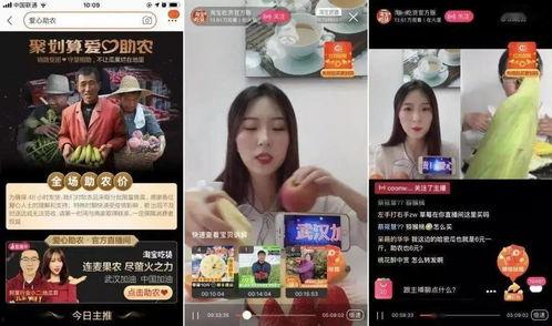 农产品网红直播,农产品网红直播引领农业电商潮流