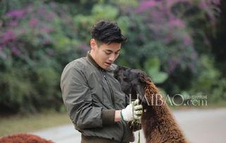 明星之旅 微博,微博记录璀璨星途