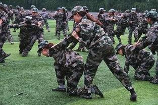 军训爆料瞬间视频下载,热血沸腾的青春剪影