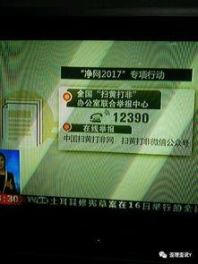 新闻举报爆料平台电话,揭秘新闻爆料平台背后的故事