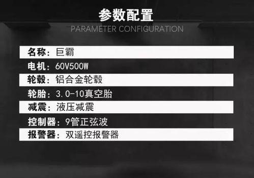 明星霸气登入,震撼全场！