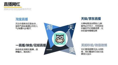 怎么运营网红,打造爆款内容，引爆粉丝热情