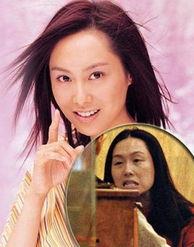 明星奴隶园 朱茵