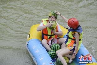 吃瓜群众假水,揭秘“吃瓜群众”背后的假水真相