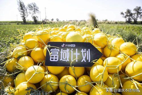 抖音乙醇子吃瓜,揭秘娱乐圈幕后真相