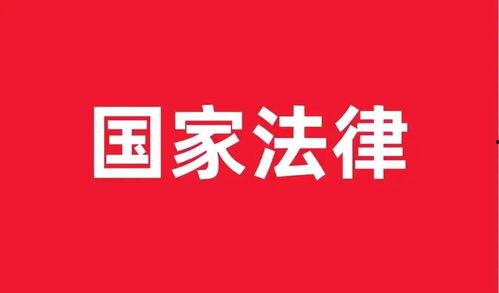 今日头条正义之道下载,今日头条深度解析下载背后的故事