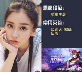 明星都玩什么手游