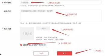 头条认证什么时候开通,掌握最新认证动态，开启高效内容创作之旅”